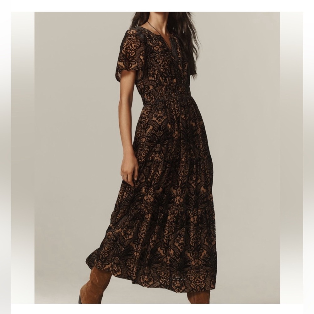 Anthropologie | Tan and Black Velvet Maxi Dress - Picture 4 of 14